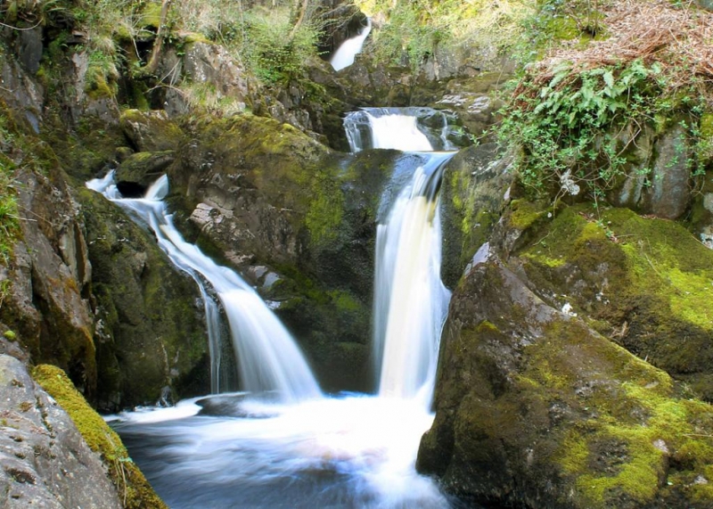 Will Wharton- Photography- Digital